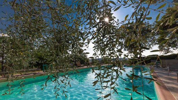 Una piscina rodeada de árboles, bancos y un cielo despejado.