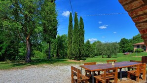 Eine Schotterterrasse mit einem Holztisch und Bänken, umgeben von Bäumen und wolkenlosem, blauem Himmel.