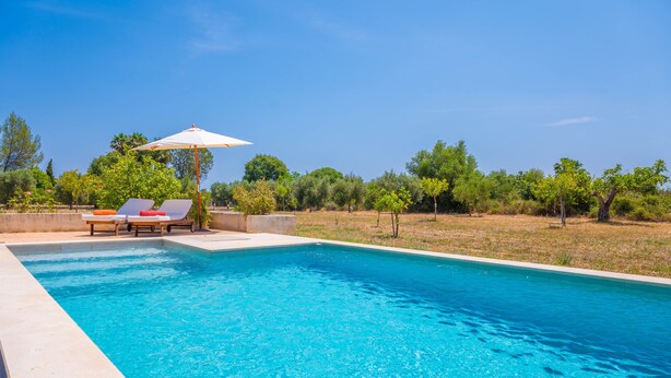 A swimming pool with lounge chairs and an umbrella, surrounded by greenery and trees. - SES PLANES (CA NA FAUSTINA) - Villa with private pool in SELVA. Free WiFi (Selva)