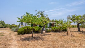 A white building with a garden in front, surrounded by dry grass and trees. - SES PLANES (CA NA FAUSTINA) - Villa with private pool in SELVA. Free WiFi (Selva)