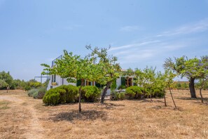 Exterior - SES PLANES (CA NA FAUSTINA) - Villa with private pool in SELVA. Free WiFi (Selva)