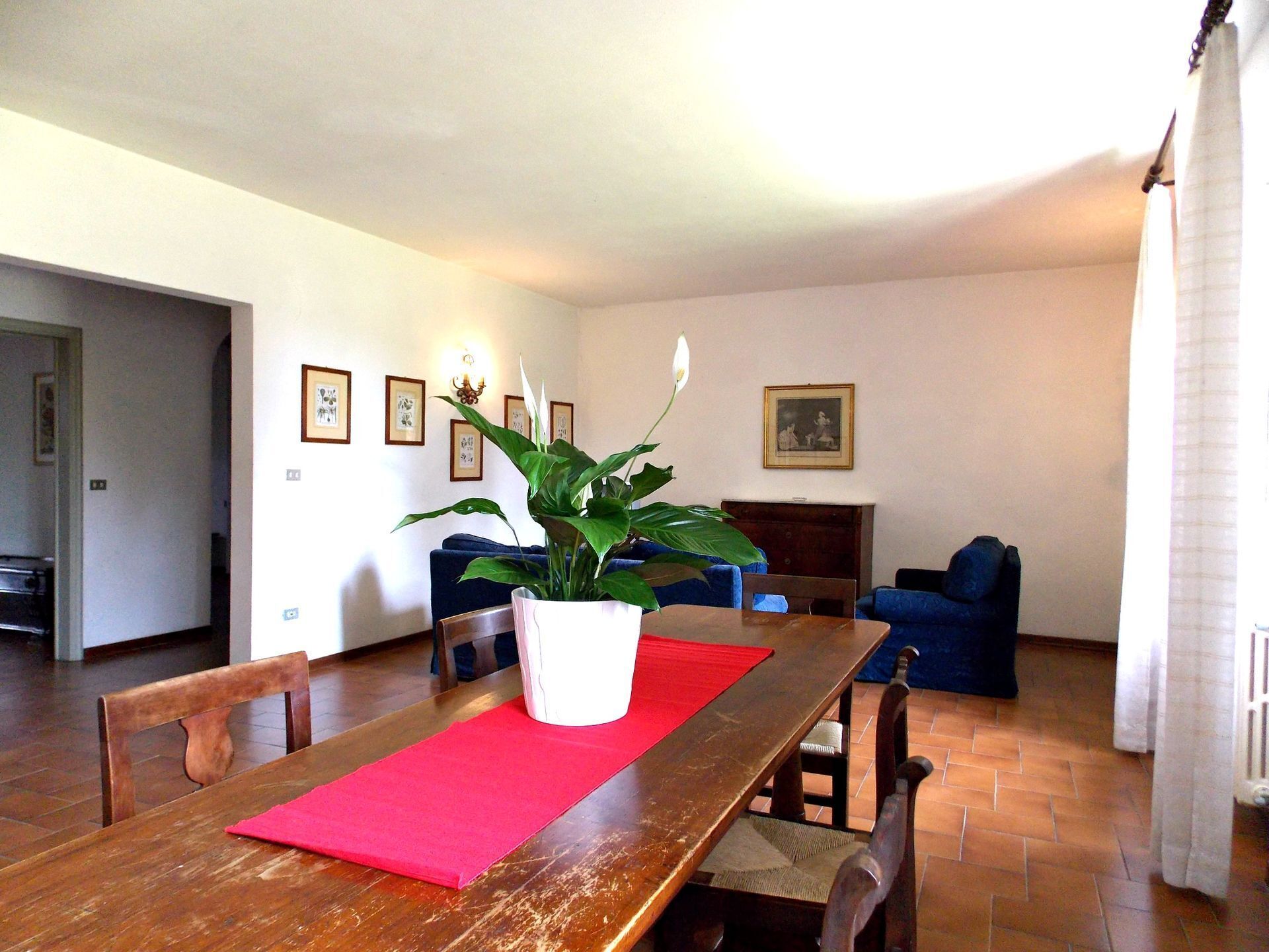 A dining area with a wooden table, red placemat, and a potted plant. There are blue chairs and a sofa in the background.