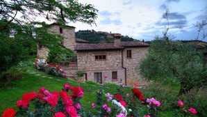 A stone house with a tiled roof, surrounded by lush greenery and flowering plants. - Private Villa with private pool, hot tub, WIFI, A/C, TV, patio, pets allowed, panoramic view (Montepulciano)