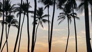 A beach scene with tall palm trees and the sun setting over the ocean. - Matapalo 102- Poolside Condo at the Diria Resort- (Tamarindo)