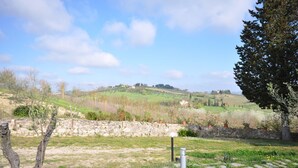 Un mur de pierres avec des plantes en pot, une zone herbeuse et une vue sur des collines verdoyantes avec des maisons au loin.
