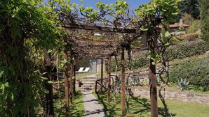 A garden pathway leading to a stone building with a pergola overhead.