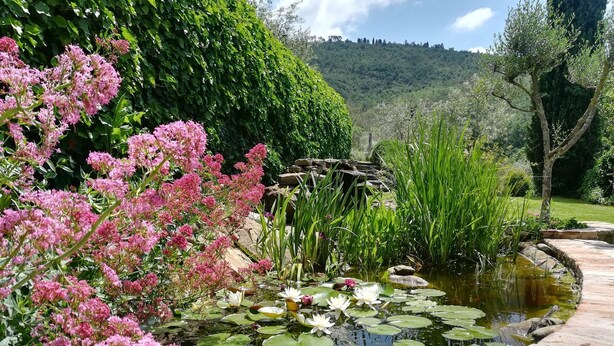 Un jardin avec un étang, des fleurs roses et un sentier en pierre.