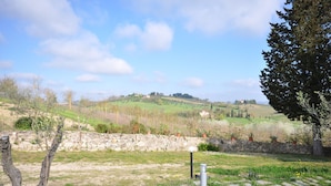 A stone wall with potted plants, a grassy area, and a view of rolling hills and houses in the distance. - Capannino - Holiday House Rental near Siena, Tuscany (Ponte A Bozzone)