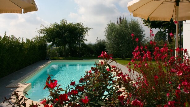 Una piscina con superficie de agua azul cristalina, rodeada de exuberante follaje y flores rojas.