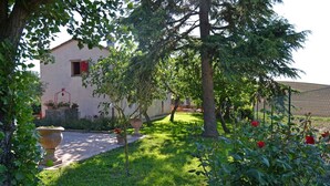 A garden with a pathway leading to a building, surrounded by greenery and potted plants. - Wonderful private villa with A/C, private pool, WIFI, TV and panoramic view, close to Cortona (Montecchio)