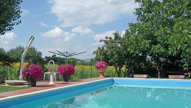 A swimming pool with a clear blue water surface, surrounded by potted plants and a garden. - Wonderful private villa with A/C, private pool, WIFI, TV and panoramic view, close to Cortona (Montecchio)