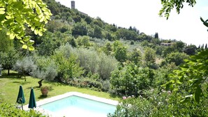 A pool surrounded by lush greenery and a hill with buildings in the background.