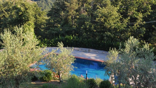 Ein Schwimmbecken, umgeben von üppiger Vegetation mit Blick auf ferne Hügel.