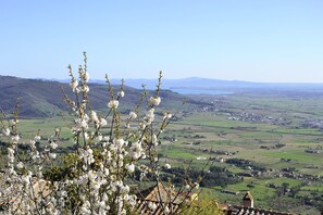 Botón de imagen sin clasificar, 4 de 17