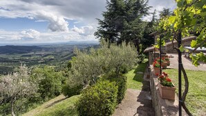 A vineyard with a stone pathway leading to a rustic building, surrounded by lush greenery and a scenic view of distant hills. - Private Villa with hot tub, A/C, sauna, WIFI, pool, TV, terrace, panoramic view, close to Cortona (Torreone)