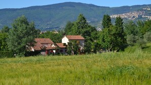 A rural landscape with a house surrounded by trees and a mountain in the background. - Casa Laura - House with private pool (Montecchio)