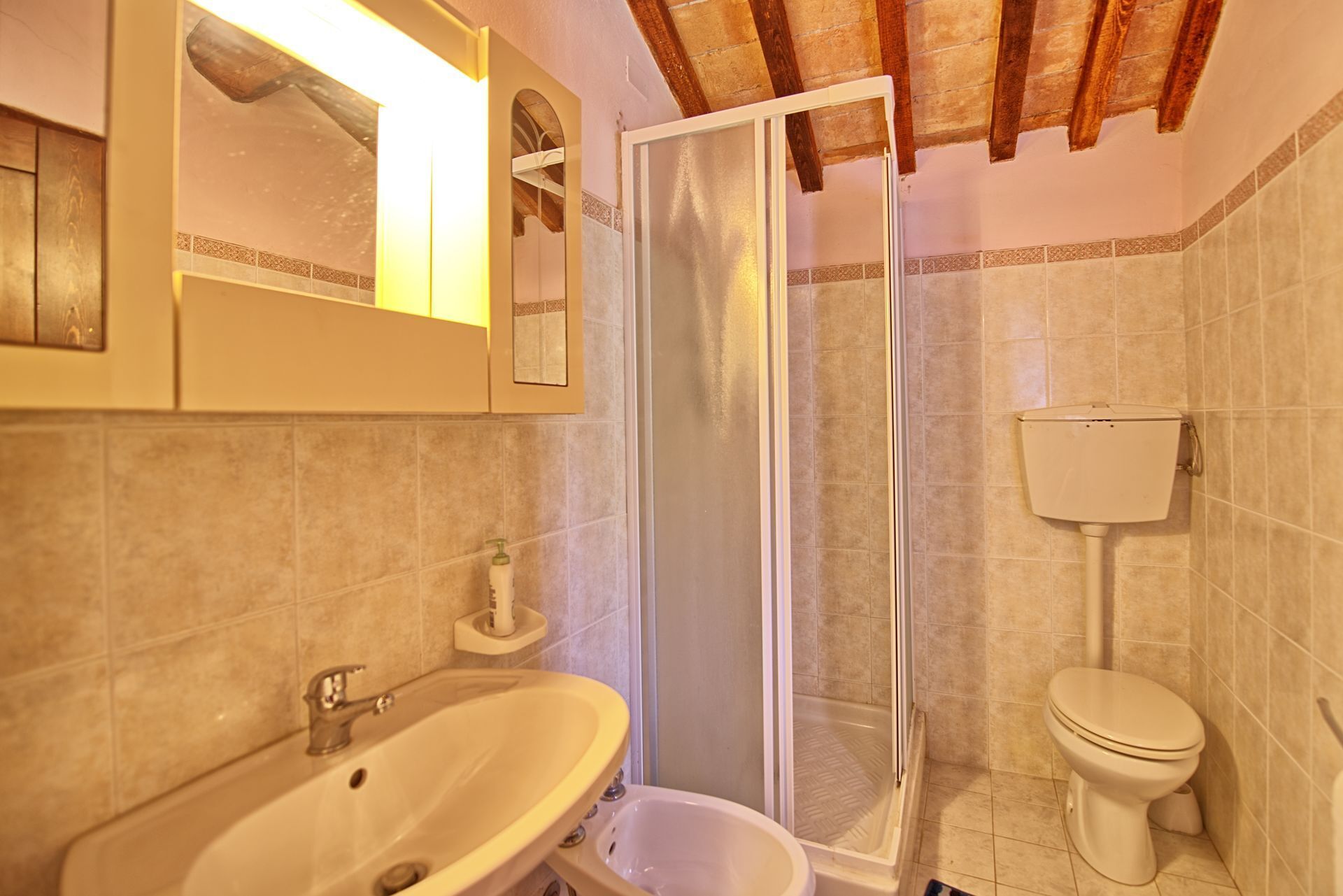 Une salle de bain avec un lavabo, des toilettes et une douche.