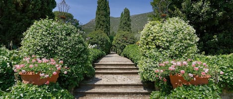 Parco della struttura