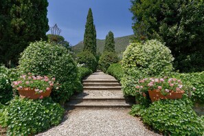 A garden pathway with steps leading to a hill, surrounded by lush greenery and flowering plants. - Stunning private villa with A/C, WIFI, private pool, TV, patio and panoramic view, close to Lucca (San Lorenzo A Vaccoli)