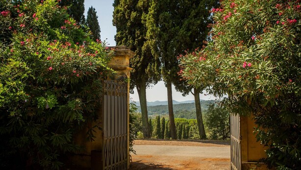 A stone gate leading to a paved path surrounded by lush greenery and trees. - Beautiful private villa with private pool, WIFI, A/C, TV, patio and panoramic view, close to Lucca (San Concordio Di Moriano)