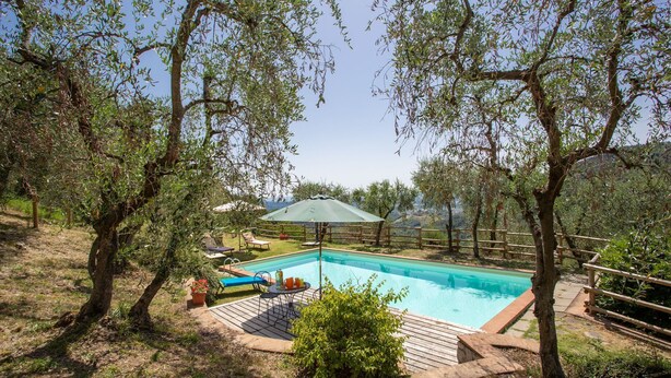 Una piscina rodeada de árboles, con una terraza de madera y mobiliario exterior.