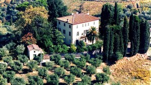A large, two-story house with a tiled roof, surrounded by olive trees and other vegetation. - Villa Pedone - Historic house with private pool for holiday rental in the hills of Lucca, Tuscany. (San Concordio Di Moriano)
