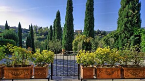 Un giardino con alti cipressi, un vialetto lastricato e un cancello in metallo.