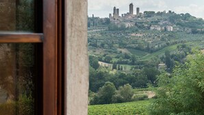 Vista di una città collinare con vigneti, edifici storici e una torre imponente.