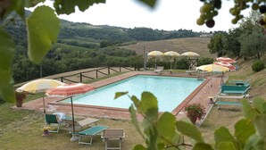 Una piscina rettangolare circondata da un solarium, con numerosi ombrelloni e lettini.