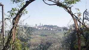 A vineyard with a pergola structure in the foreground and a distant view of a town with buildings and hills. - Cosy apartment for 3 people with pool, A/C, WIFI, pets allowed and panoramic view (San Gimignano)
