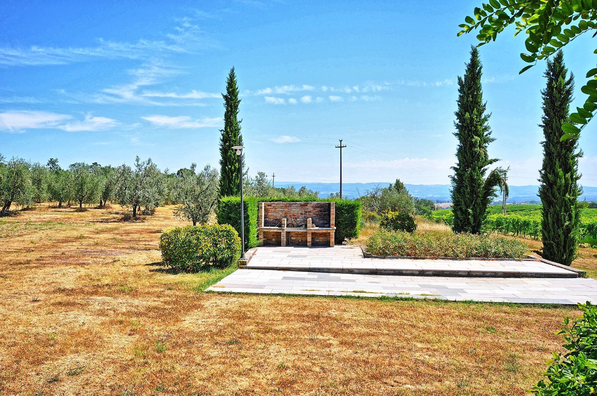 An outdoor seating area with a bench, surrounded by olive trees and a view of the landscape. - Vittoriana 3 - Apartment with pool (San Gimignano)