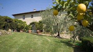 A house with a garden, a lawn, and a tree with lemons.