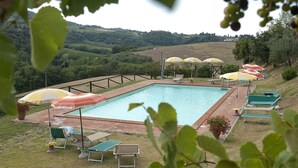 A rectangular pool with a surrounding deck, equipped with multiple umbrellas and lounge chairs.