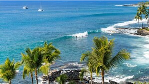 A coastal view with clear blue waters, palm trees, and a rocky shoreline. - 🏖️Oceanfront Aliʻi Drive Condo w/ A/C | Walk to Town (Kailua Kona)