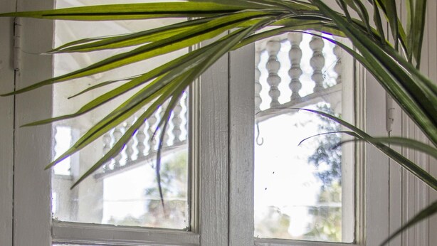 A white door with a glass panel, a white balustrade, and a view of a street with palm trees and a building in the background. - HISTORIC DISTRICT ~ Walk Everywhere ~ Private Parking! (St. Augustine)