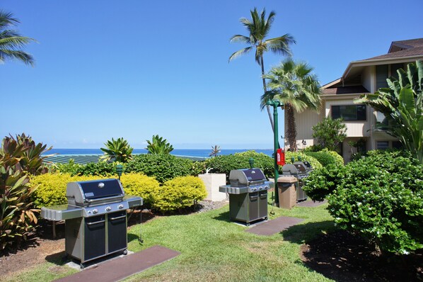 Un patio con parrillas al aire libre, palmeras y vista al océano.