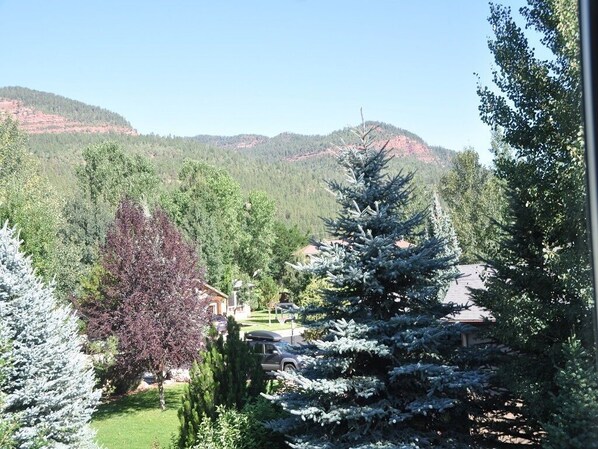 A residential area with a house surrounded by trees and a mountain in the background.