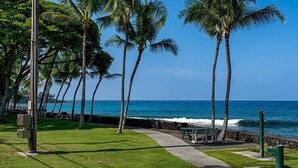 A coastal walkway lined with palm trees and benches, leading to the ocean.
