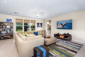 TV, DVD player, books