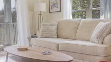 Televisio, takka, DVD-soitin, stereot