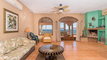 TV, fireplace, DVD player, books