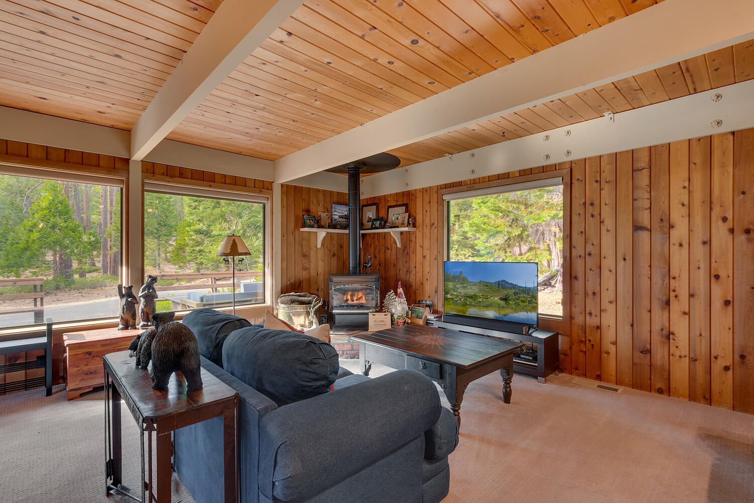 Tv, eldstad och en stereo