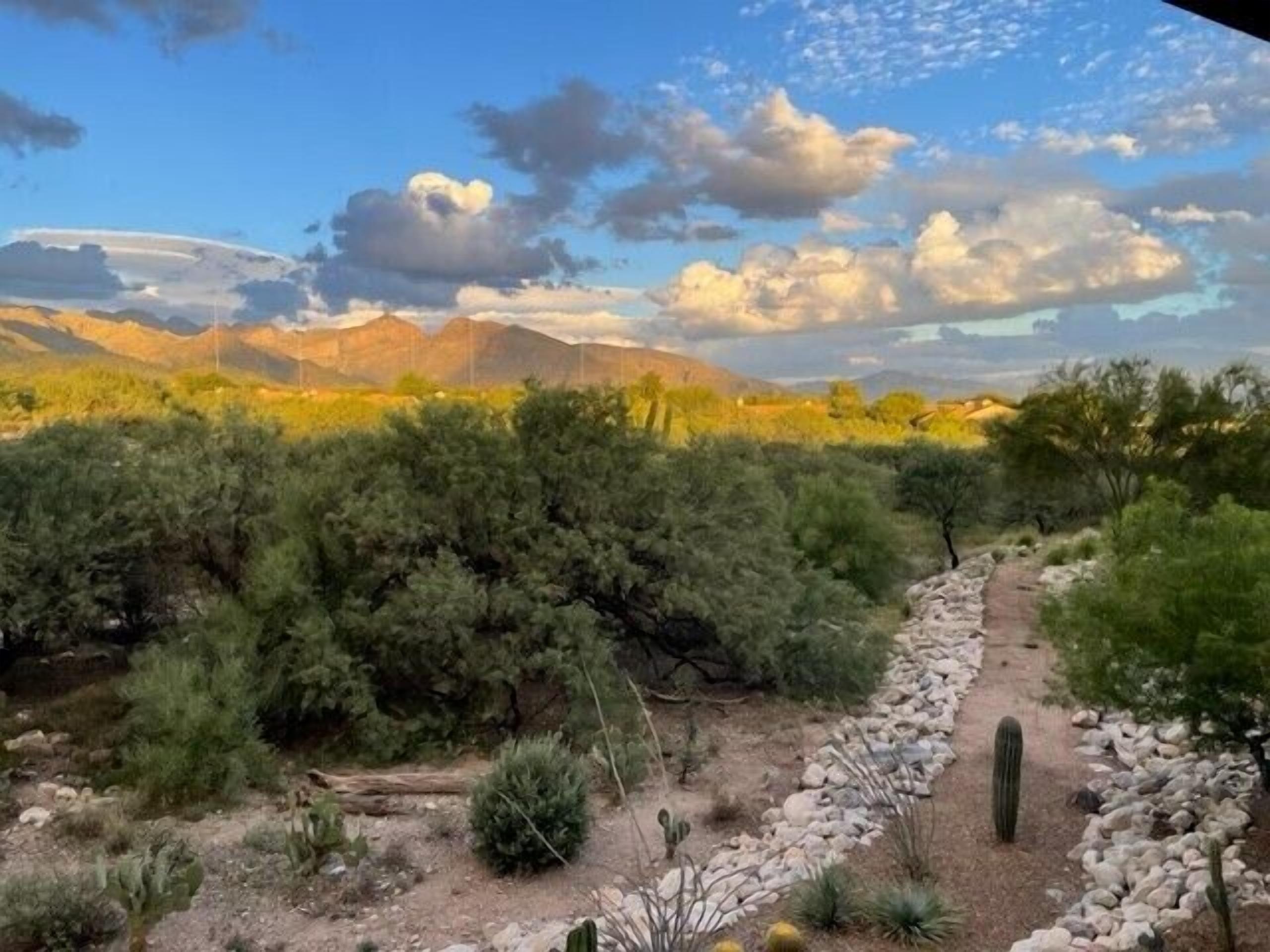 Fantastic Mountain Views, Elegantly Remodeled, Enhanced Privacy !!