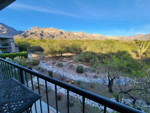 A balcony with a view of a desert landscape, including cacti and a mountain range.