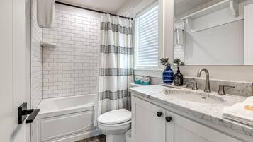 Combined shower/tub, hair dryer