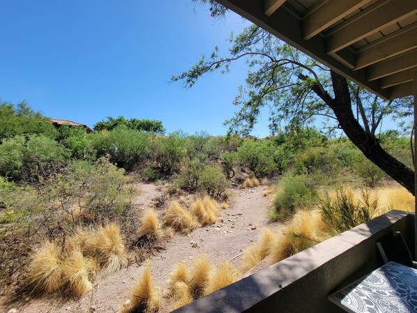 A view from a covered outdoor area with a dirt path leading through a dry, grassy landscape with sparse trees and shrubs.