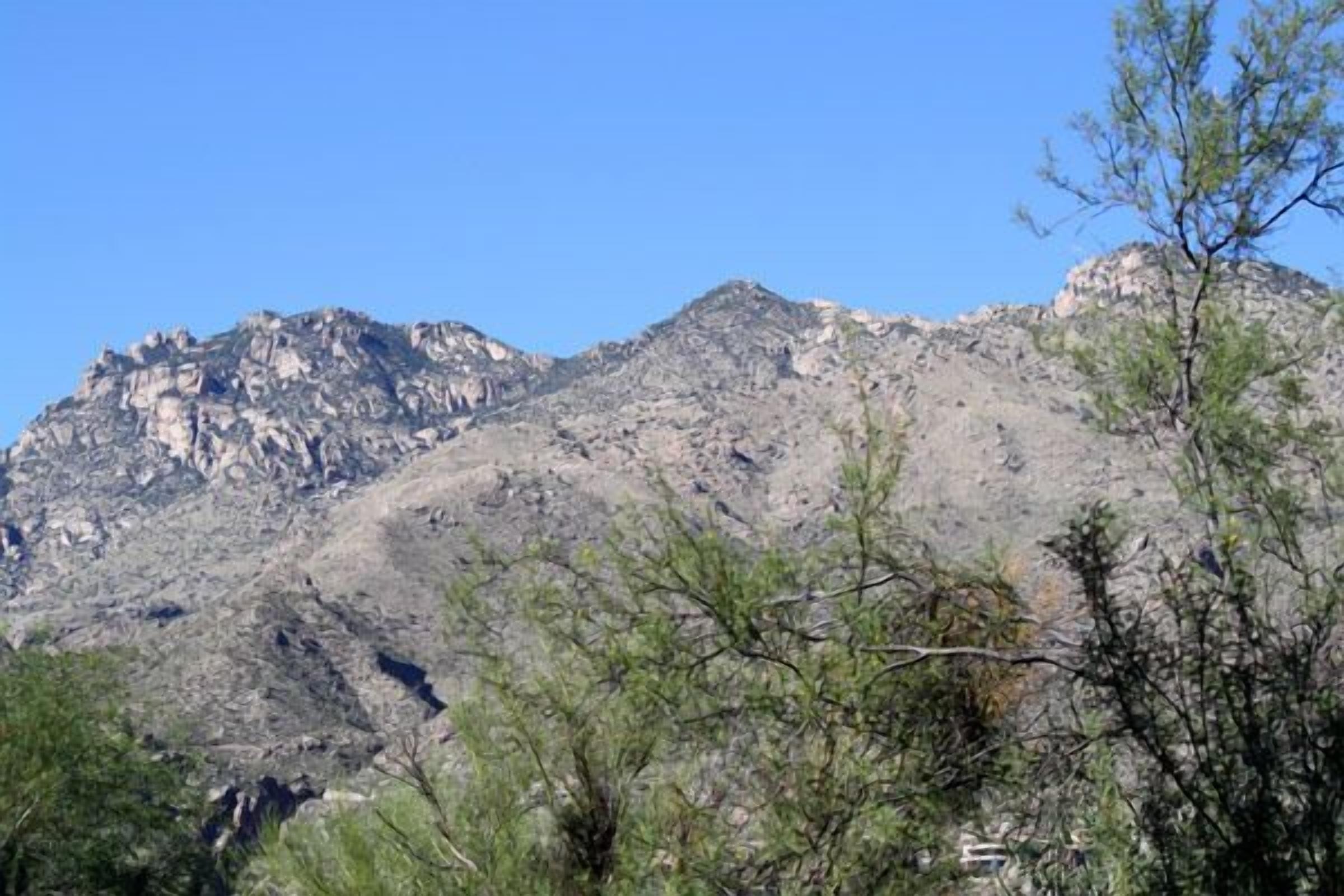 Pet Friendly-1st Floor 2 with Direct Access from parking - Mountain Views!!!