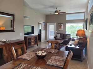 TV, DVD player - Stunning - Inside and out! Beautiful Inside and Views of the Catalinas! (Tucson)