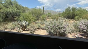 A view of a desert landscape with various cacti and shrubs, a cactus in the foreground, and a mountain range in the background.