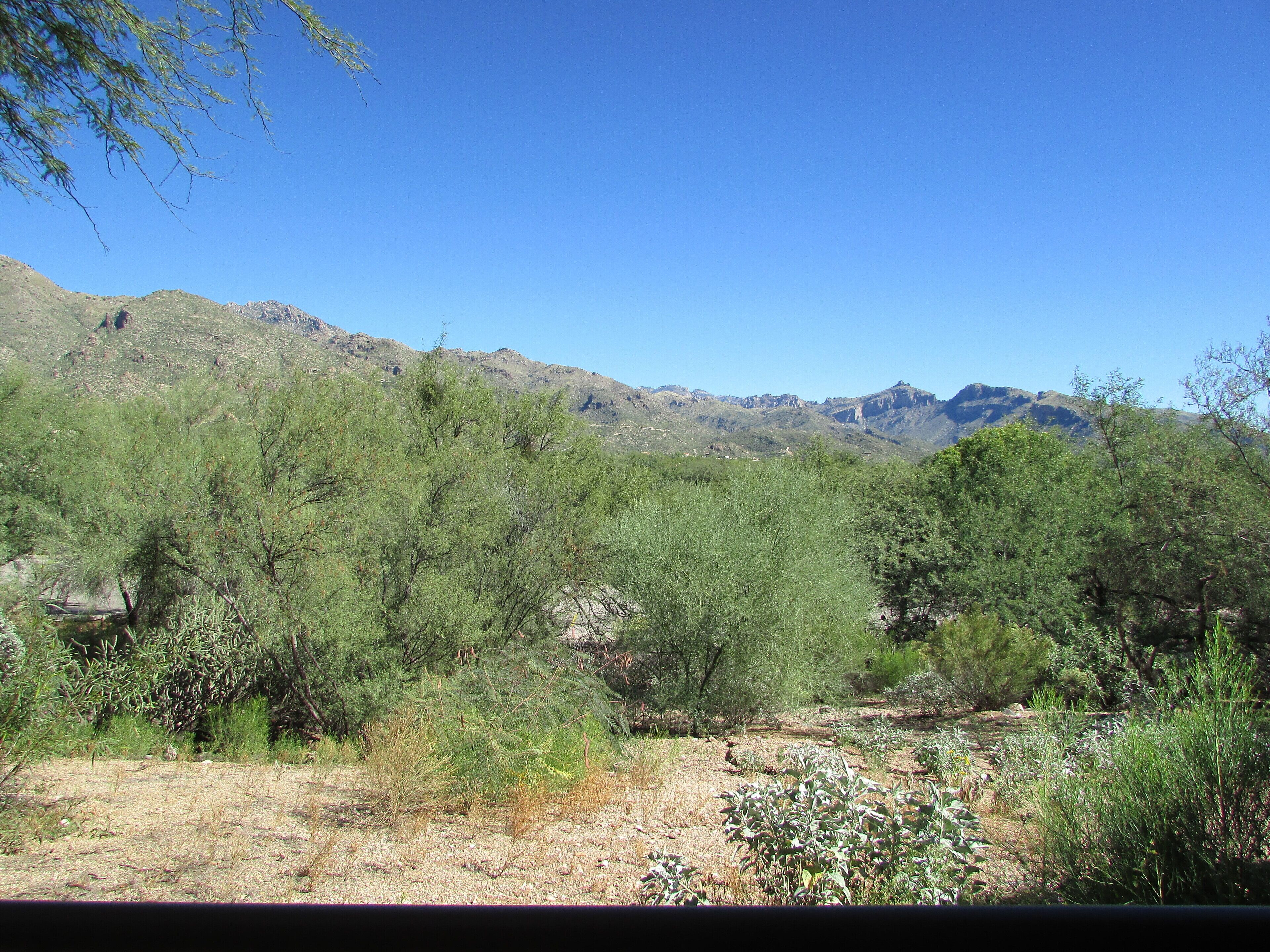 Casita-Single Story-Wood Floors-High Ceilings-Extended Patio 1Mountain Views!